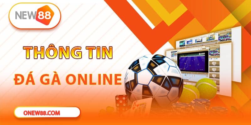 Thông tin liên quan đến kiểu chơi đá gà 789bet được yêu thích hiện nay
